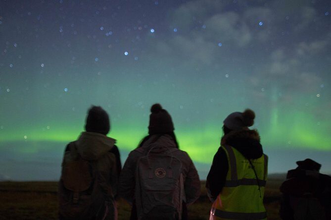 Northern Lights Night Tour from Reykjavik - A Deep Dive into the Tour Experience