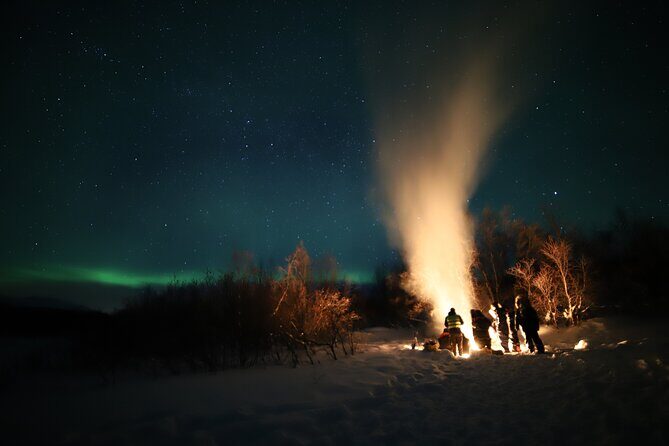 Northern lights photography tour - The Experience: Who Will Love It?