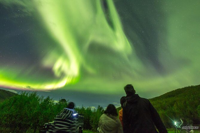 Northern Lights Private tour with your special ones - Greenlander - An In-Depth Look at the Experience