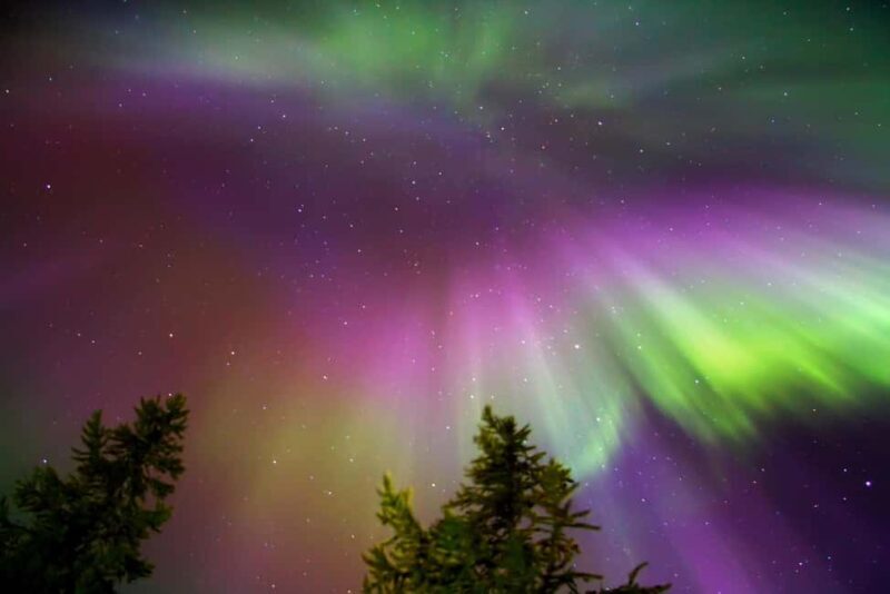 Northern Lights Reindeer Sledge Ride - An In-Depth Look at the Northern Lights Reindeer Sledge Ride