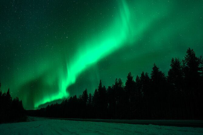 Northern Lights Rovaniemi: Guaranteed Viewing & Unlimited Mileage - The Real Guest Experience: Insights from Reviews