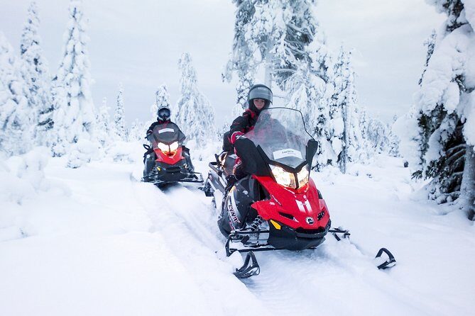 Northern Lights Snowmobile Driving Safari - Snowmobiling Across Winter Terrain