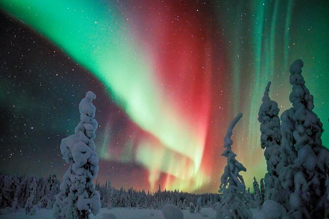 Northern Lights Snowmobile Driving Safari - The Logistics: What to Expect