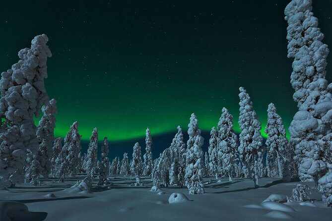 Northern Lights Snowmobile Safari from Rovaniemi with Campfire Picnic - Practical Details and Tips