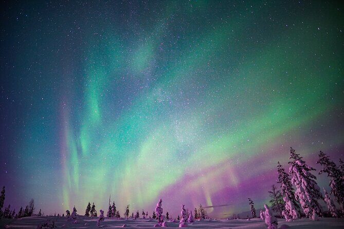 Northern Lights Snowmobile Sledge Ride in Rovaniemi - A Detailed Look at the Experience