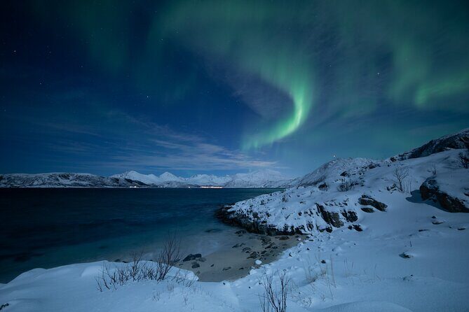 Northern Lights Tour & Arctic Experience - more than just a chase - Key Points