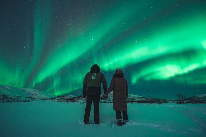 Northern Lights Tour in Tromso - An In-Depth Look at the Tromso Northern Lights Tour