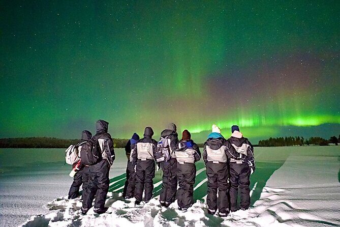 Northern Lights Tour Snowmobile Driving - Key Points