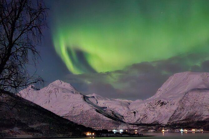 Northern Lights Tour, Tromso, Local Guide, Private Basecamp - FAQs
