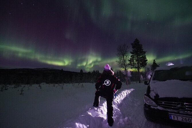 Northern Lights tour with Alta Adventure - Key Points
