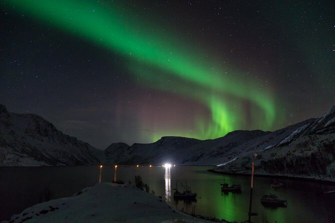 Northern Lights tour with Alta Adventure - Pricing & Value