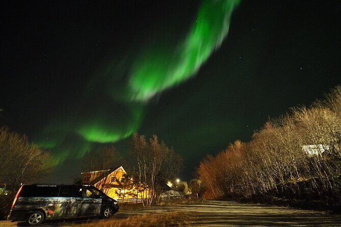 Northern Lights tour with Alta Adventure - The Sum Up