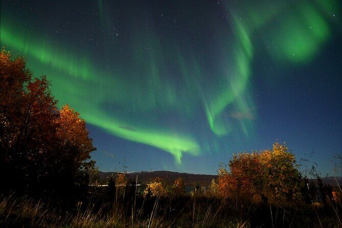 Northern Lights tour with Alta Adventure - FAQ
