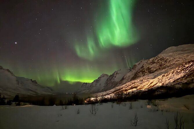 Northern Lights Tour with Hot Food and Drinks in Tromso - A Deep Dive into the Experience