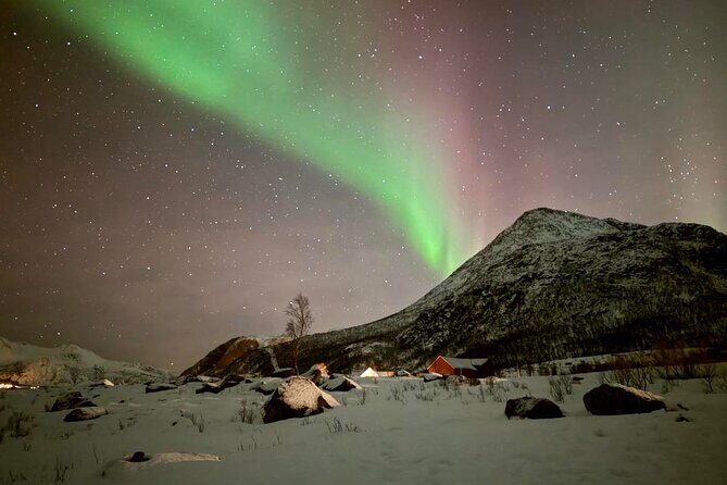 Northern Lights Tour with Hot Food and Drinks in Tromso - Frequently Asked Questions