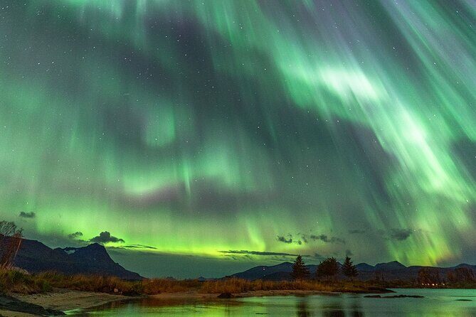 Northern Lights Tour with Local Guide and Photos - Who This Tour Is Perfect For