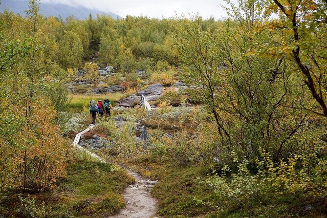 Northern Lights Tour With Skis Or Snowshoes in Pyhä - Key Points