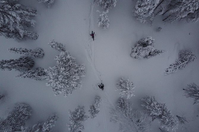 Northern Lights Tour With Skis Or Snowshoes in Pyhä - Pricing and Value