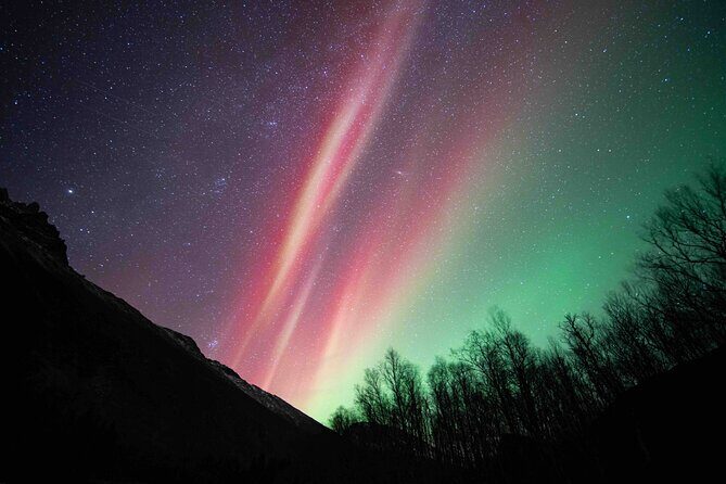 Northern Lights Tour with small group of 8 people - An Honest Breakdown of the Tour Experience