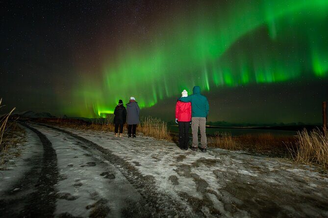 Northern Lights Tours Bodo Norway - Key Points
