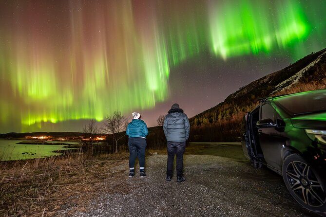 Northern Lights Tours Bodo Norway - Who Should Consider This Tour?