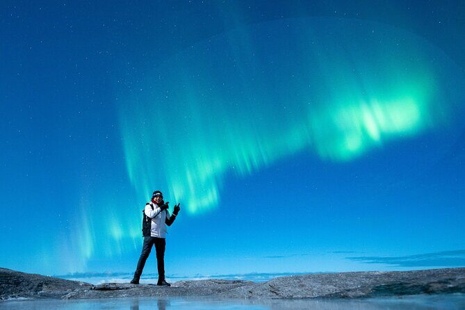 Northern Lights Tours Bodo Norway - The Sum Up