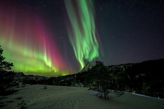 Northern Lights Tours Bodo Norway - Frequently Asked Questions