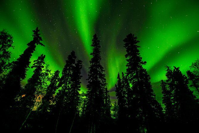 Northern Lights Tours - An In-Depth Look at the Tour