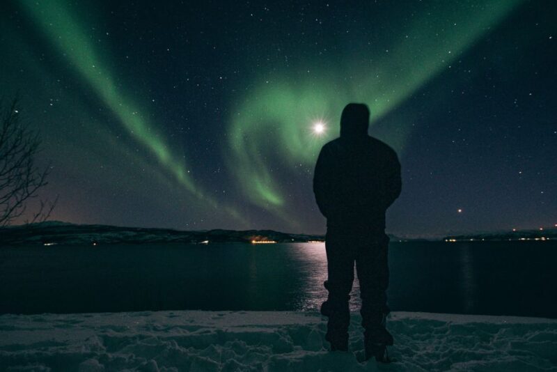 Northern lights Tromsø - small group tour with local guide - Why This Tour Stands Out