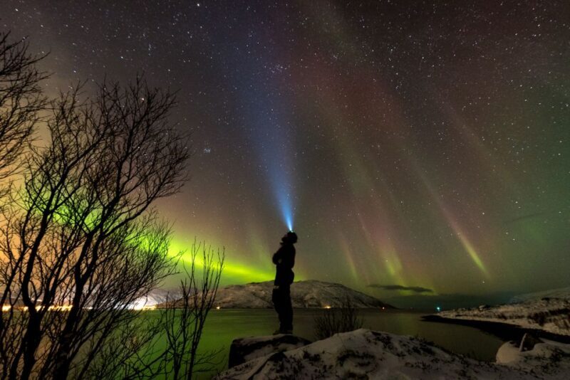 Northern lights Tromsø - small group tour with local guide - What to Expect at Each Stop