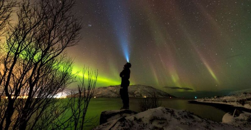 Northern lights Tromsø - small group tour with local guide - FAQ