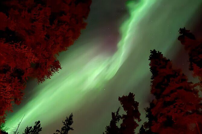 Northern Lights Viewing in a Semi-Private Dome in Whitehorse - Practical Details and Value