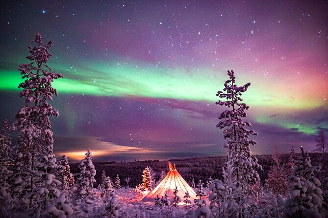 Northern Lights Wilderness Small-Group Tour from Rovaniemi - Reviews and Real Experiences