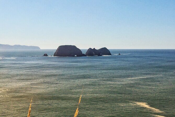 Northern Oregon Coast Day Trip to Three Capes Scenic Loop - Exploring the Itinerary: What You Can Expect