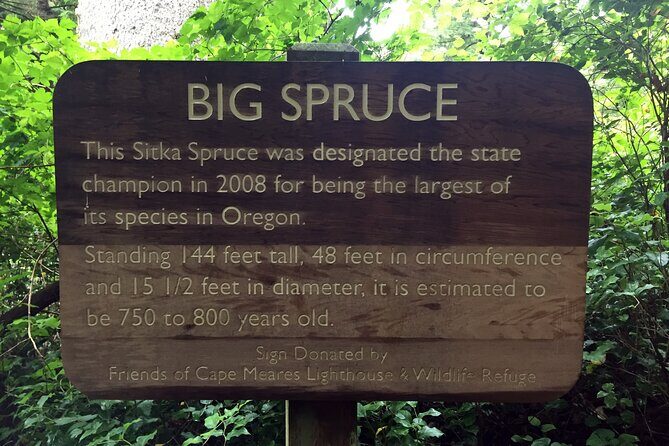 Northern Oregon Coast Day Trip to Three Capes Scenic Loop - FAQ