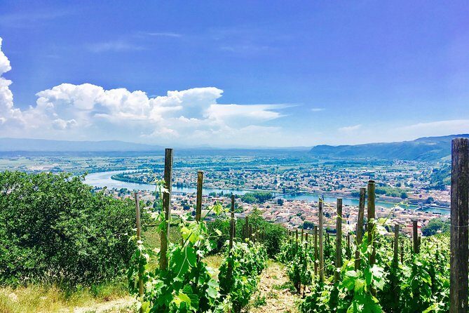 Northern Rhône Valley From Lyon Full day - Key Points