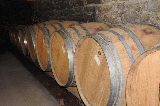 Northern Rhône Valley From Lyon Full day - Potential Drawbacks and Considerations