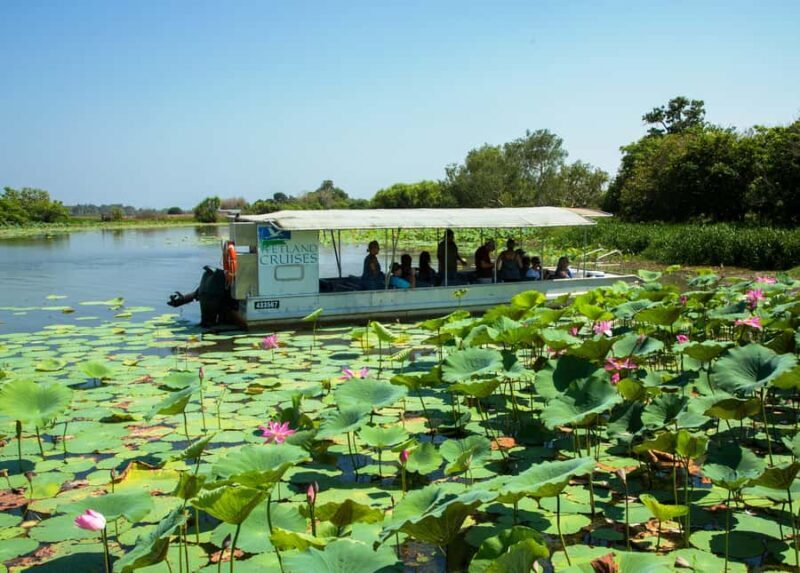 Northern Territory: Corroboree Billabong Nature Cruises - The Setting: Wetlands Near Darwin