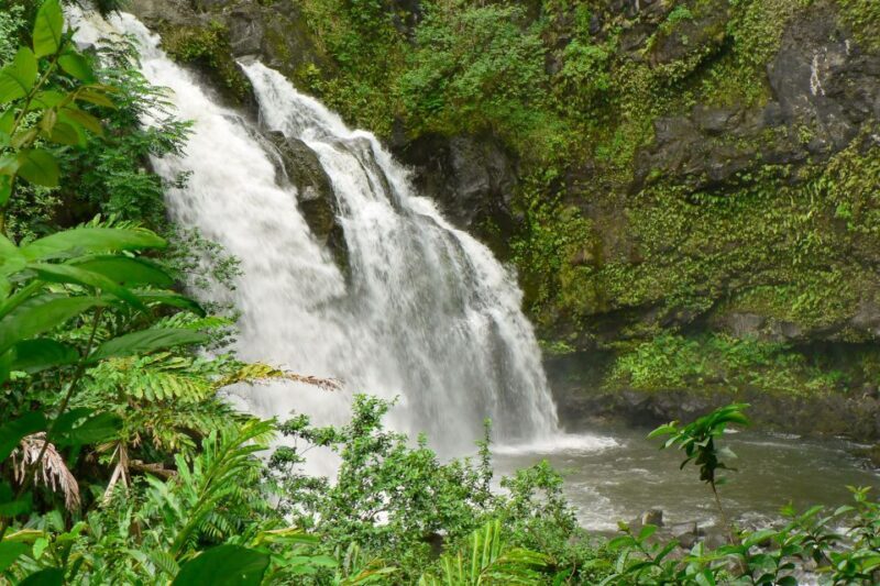 Northshore Maui: Guided Rainforest and Waterfall Walk - Exploring Maui’s Northshore: The Details