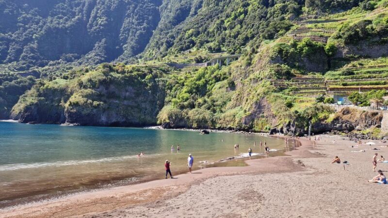 NorthWest's 50 shades of green, rock pools & waterfalls Tour - Authentic, Personalized, and Scenic: Who Will Love This Tour?