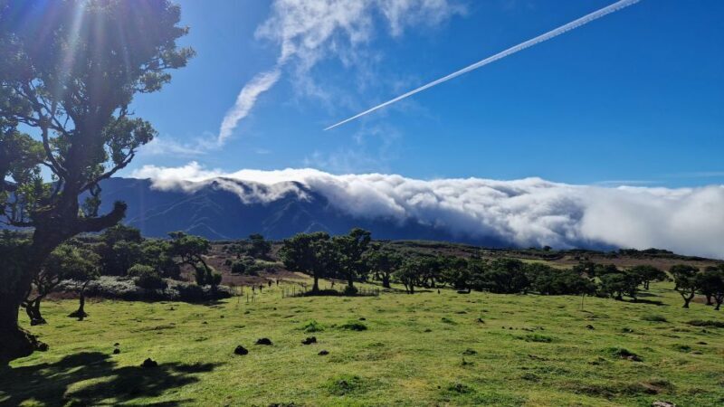 NorthWest's 50 shades of green, rock pools & waterfalls Tour - Final Summary