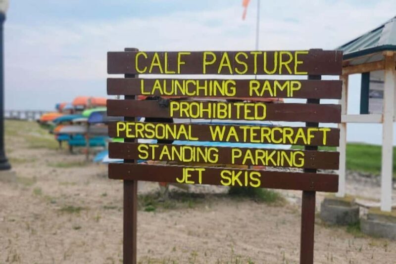 Norwalk: Paddleboard Rental at Calf Pasture Beach - Exploring the Paddleboard Experience at Calf Pasture Beach