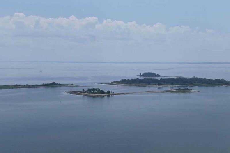 Norwalk: Paddleboard Rental at Calf Pasture Beach - Who Will Love This Experience?