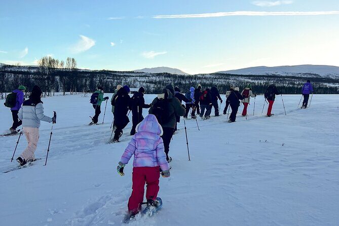 Norway Troms Snowshoe Activity with Guided Tour - An Authentic Arctic Experience in Tromso