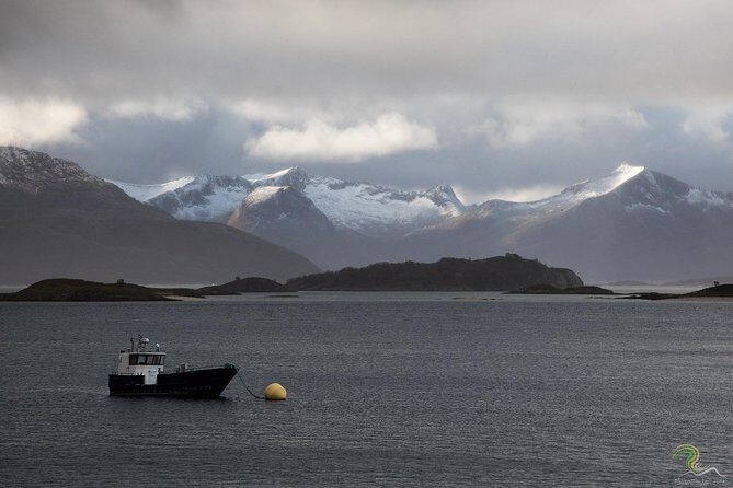 Norwegian Fjords Tour, Including Professional Photos in Tromso - The Itinerary Breakdown