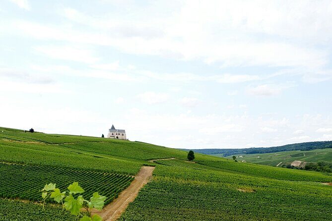 Not Your Average Champagne Tour - Day Trip From Paris (Private) - Who Should Consider This Tour?