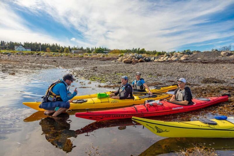 Nova Scotia: Guided Half-Day LaHave Islands Sea Kayak Tour - A Closer Look at the LaHave Islands Kayak Tour