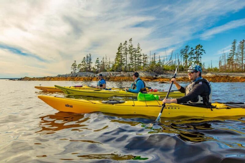 Nova Scotia: Guided Half-Day LaHave Islands Sea Kayak Tour - The Sum Up