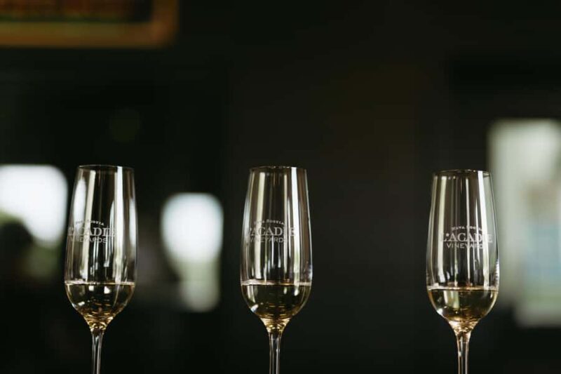 Nova Scotia: Private Wine Tasting & Lobster Lunch Tour - Authenticity and Traveler Feedback