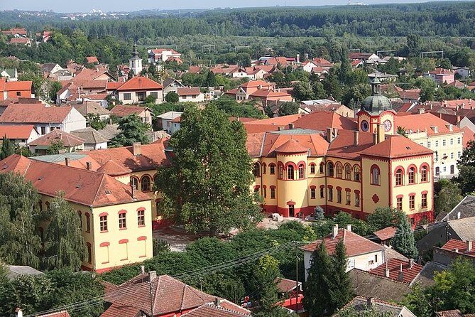 Novi Sad and Sremski Karlovci Wine Tour From Belgrade - An In-Depth Look at the Tour Experience